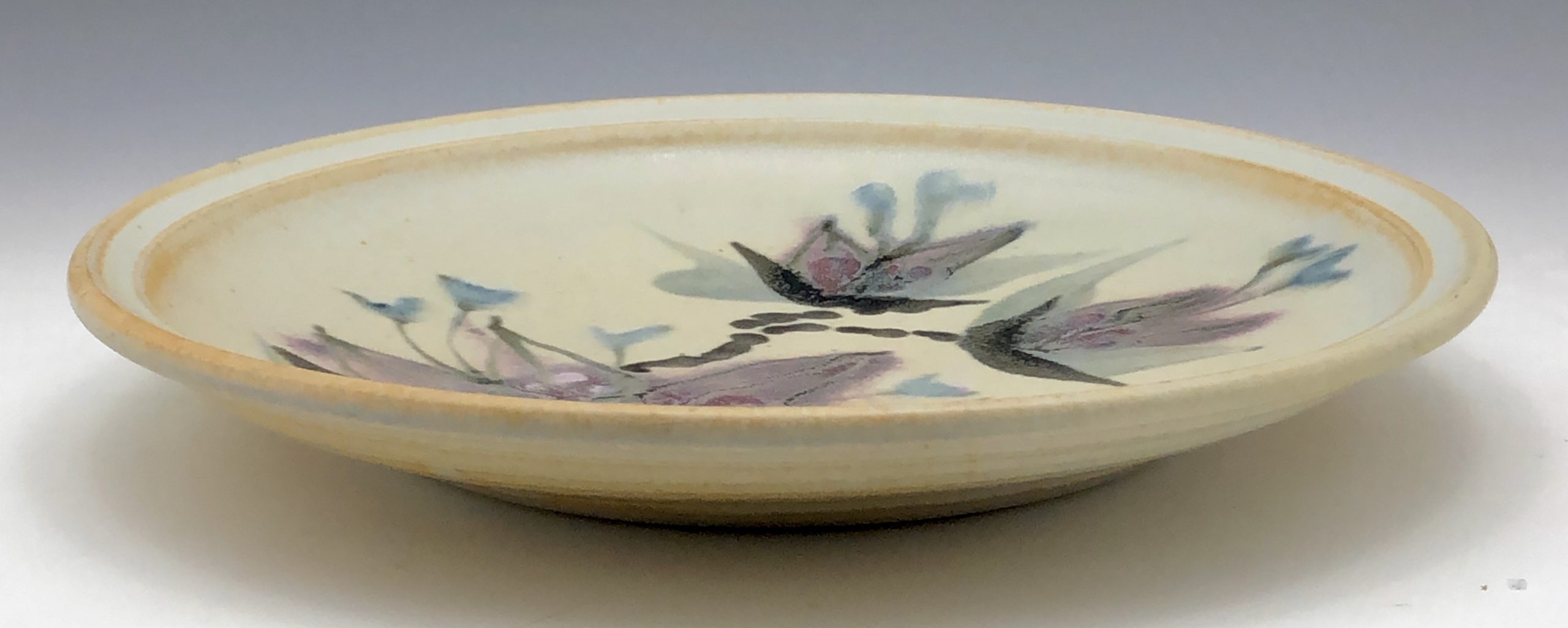 4b Robin Hopper plate